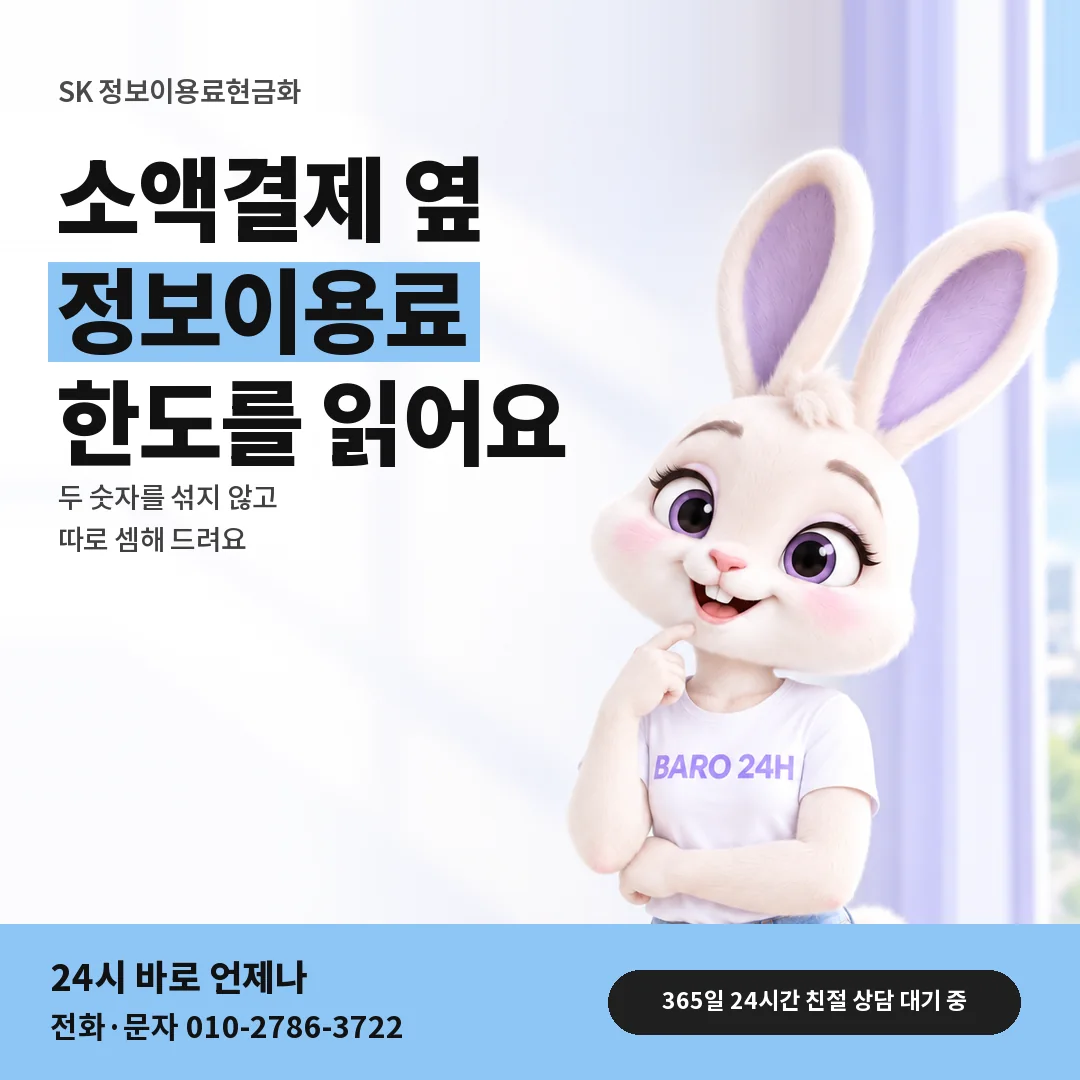BARO 24H 티셔츠를 입은 3D 토끼 캐릭터 옆에 「SK 두 한도 나란히 읽기」 제목을 얹은 안내 카드